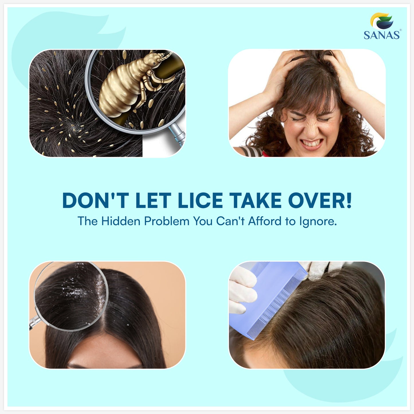 Sanas Fine Teeth Lice Removal Hair Comb - 3Pcs